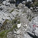 Markierter Abstiegsweg: Normalweg der Fuchskarspitze