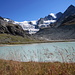 Glacier de Moiry mit Ptes. de Mourti 3564, Pte. de Moiry 330