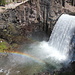 Rainbow Falls - Blick vom oberen Aussichtpunkt auf Wasserfall und Regenbogen.