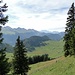 Im Aufstieg zur Alphütte "Tal". [u Lena] hat die üppigste Vegetation hinter sich gelassen.