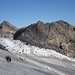 Übergang vom Le Dôme auf den Diablerets Gletscher