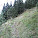 steile Almwiesen