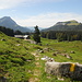 Die Alp Hinter Stelzenboden mit Stockberg und Pfingstboden