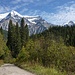 erster Blick zum Mt. Robson und Resplendent Mountain