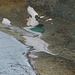 Gletschersee am Vadret Calderas.