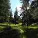 Alpweide unterhalb der Alpe di Stabiello