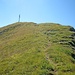 Der Gipfel vom Abstieg ins Kälbertal. Seit dem 17.09.2011 gekennzeichnet durch Markierungspfosten.