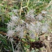 Herbstgesteck