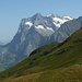 Die große Scheidegg mit dem Wetterhorn begrenzt  von Gindelwald das Panorama auf der östlichen Talseite.