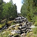 Sul sentiero panoramico N. 12 che risale tutta la valle