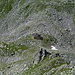 Edelrauthütte 2545m