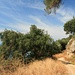 unterwegs zum Agios Georgios