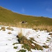 dürres, hohes Gras zwischen letzten Schneeresten auf dem Weg zum E-Grat des Rauflihores