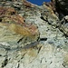 Schlussaufstieg zum Col du Tracuit