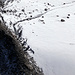 Crepacci nel ghiacciaio Chüebodengletscher