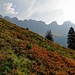 Herbstimpressionen im Gegenlicht: Die Alviergruppe.