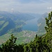 Tiefblick durch die Föhren zum Walensee.