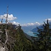 Bewaldete Aussicht auf dem Wannichnubel