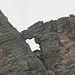 Passo Forato