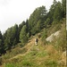 Der Höhenweg welcher Alpe Domas, Forcarid, Garerescio und Peurett verbindet