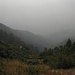 Nein, das ist kein Nebel sondern Dunst