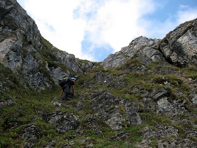 Gras und Fels auf dem letzten Stück zum Gipfel.