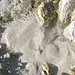 Dal Ghiacciaio di Pesciora scendono parecchi rigagnoli e trasportano questa finissima sabbia bianca