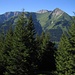 nach Süden Blick zur Bleispitze und der dahinter liegenden imposanten Südwand der Gartner Wand (2377 m) in den Lechtaler Alpen