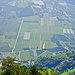 Blick hinunter auf die Apfelplantagen im Vinschgau