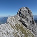 Schöneckspitze von Westen