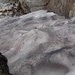 Residui di neve invernale arrossata dall'alga Chlamydomonas nivalis.