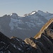 Tschingel Bock mit Clariden