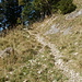 Wegspuren beim Aufstieg