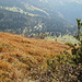 Tiefblick zum Kurhaus Sennis