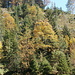 Herbstfarben