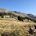 <b>Dopo circa un chilometro di cammino, a quota 1970 m, esco dal bosco e mi ritrovo all’Alpe di Prou.</b>