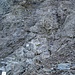 ecco la ferrata