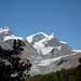 Ein Blick zurück in die Gletscherberge über den Herbstwald
