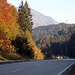 Der Herbst in voller Pracht, hinter den 2 Fichten halblinks der Herzogstand<br />Die lange Abfahrt Wallgau - Einsiedeln