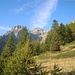 Autunno in Val Divedro