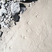Orme di stambecco (suppongo) sulla sabbia depositatasi a S del ghiacciaio