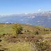 Blick zurück auf die Alp Feldis
