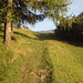 Auf dem sonnigen Weg nach Filisur