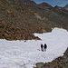 Schneefeld vor der Similaunhütte