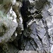 Höhlenschlund  bei Vega Orlandi