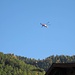 Heli fliegt Baum in den Wald - jetzt weiss ich wie man in Zermatt "Wald macht"!