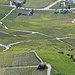 Rebparzelle von Salgesch II