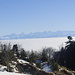 Blick über das südliche Nebelmeer zu den Berneralpen.