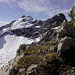Schöne Ausblicke zur Wasserfallkarspitze + Schwellenspitze.