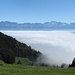 Der Nebel wird aus dem Rheintal hinauf nach Wildhaus geblasen